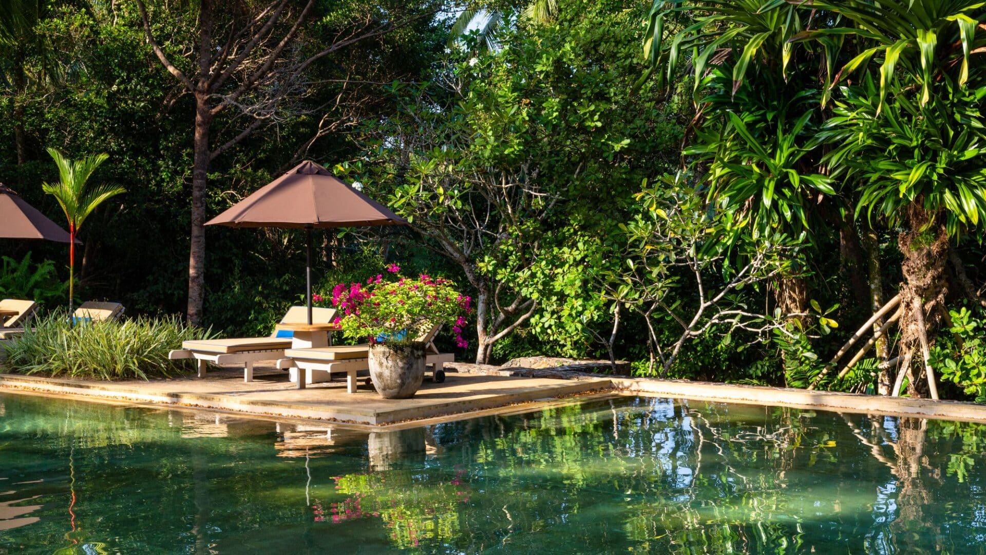 Swimming pool and three-acre tropical gardens at Why House luxury villa hotel