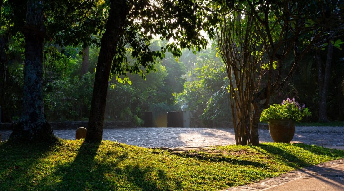 Why House Luxury Boutique Hotel Sri Lanka stunning entrance leafy manicured gardens