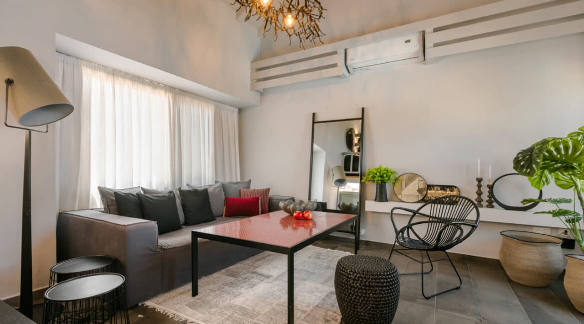 Villa Agapi modern open-plan design with vaulted ceiling Braunis Horio Kefalonia