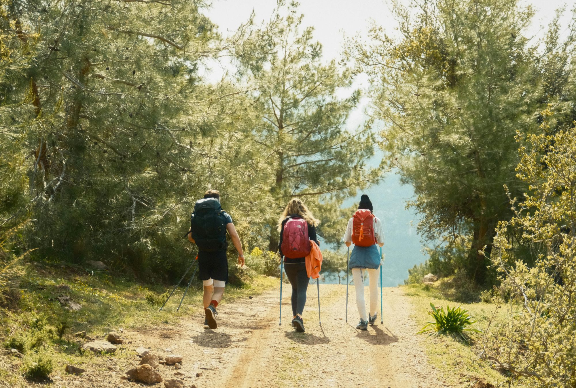 Walking the Lycian Way near Kalkan, with views of olive groves, mountains and the Turquoise Coast