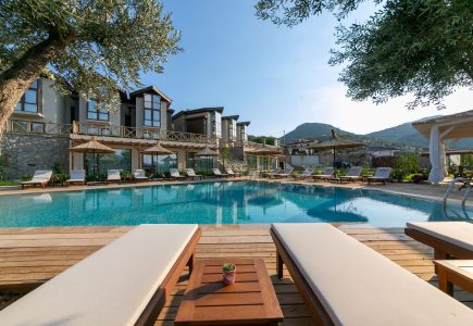 Boho Garden Hotel daytime poolside