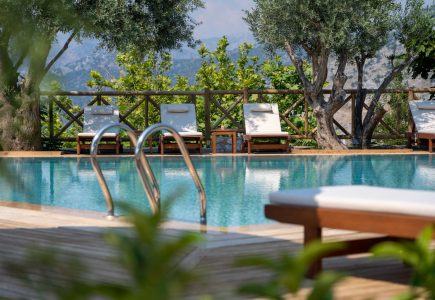 Boho Garden Swimming Pool and Gnarled Olive Trees