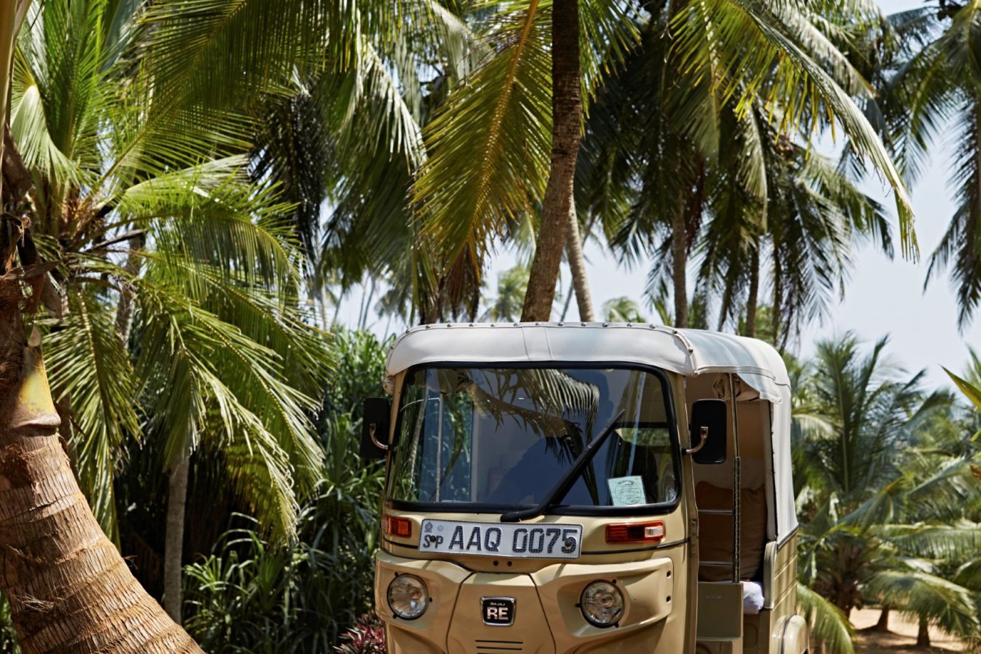olourful tuk tuks on the streets of Colombo, Sri Lanka – a lively glimpse of local life in the island’s vibrant west coast capital.