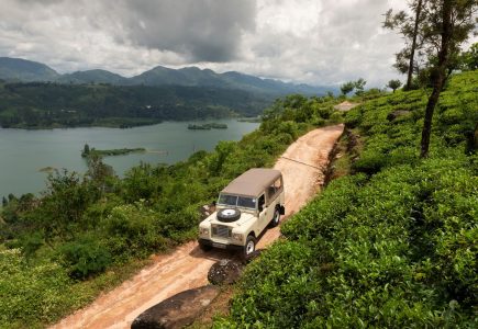 Game Drives