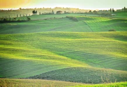 Landscapes of Tuscany