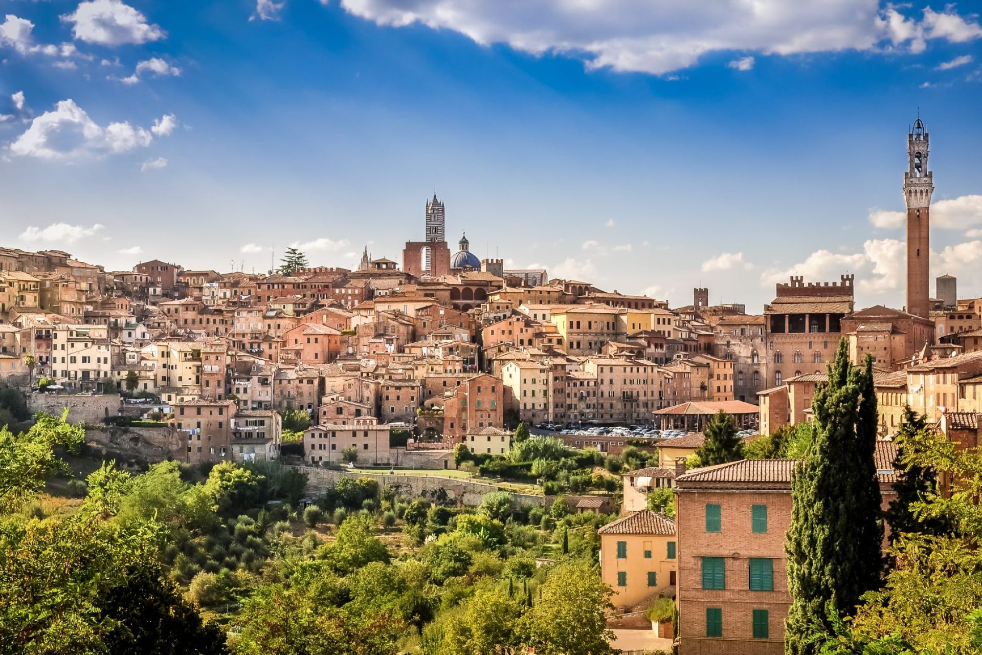 SIENA