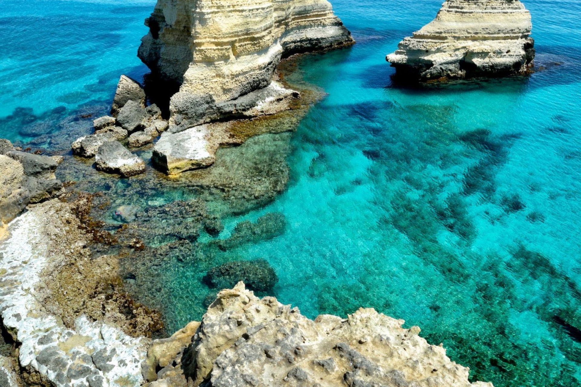 Scogliera di Sant'Andrea (ph Franco Cappellari)