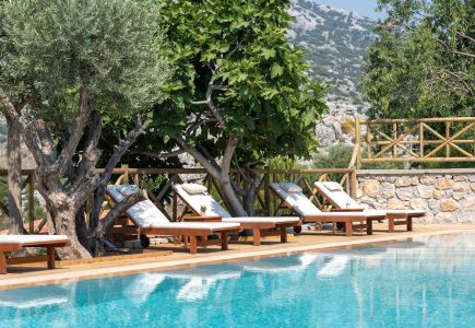 Swimming Pool and trees