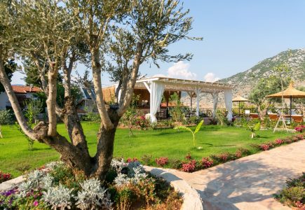 The garden at Boho Garden