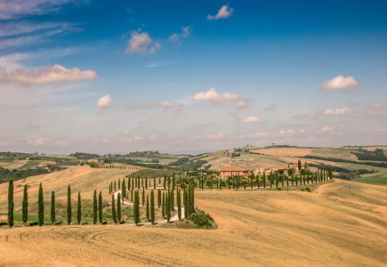 Tuscany Summer Landscapes
